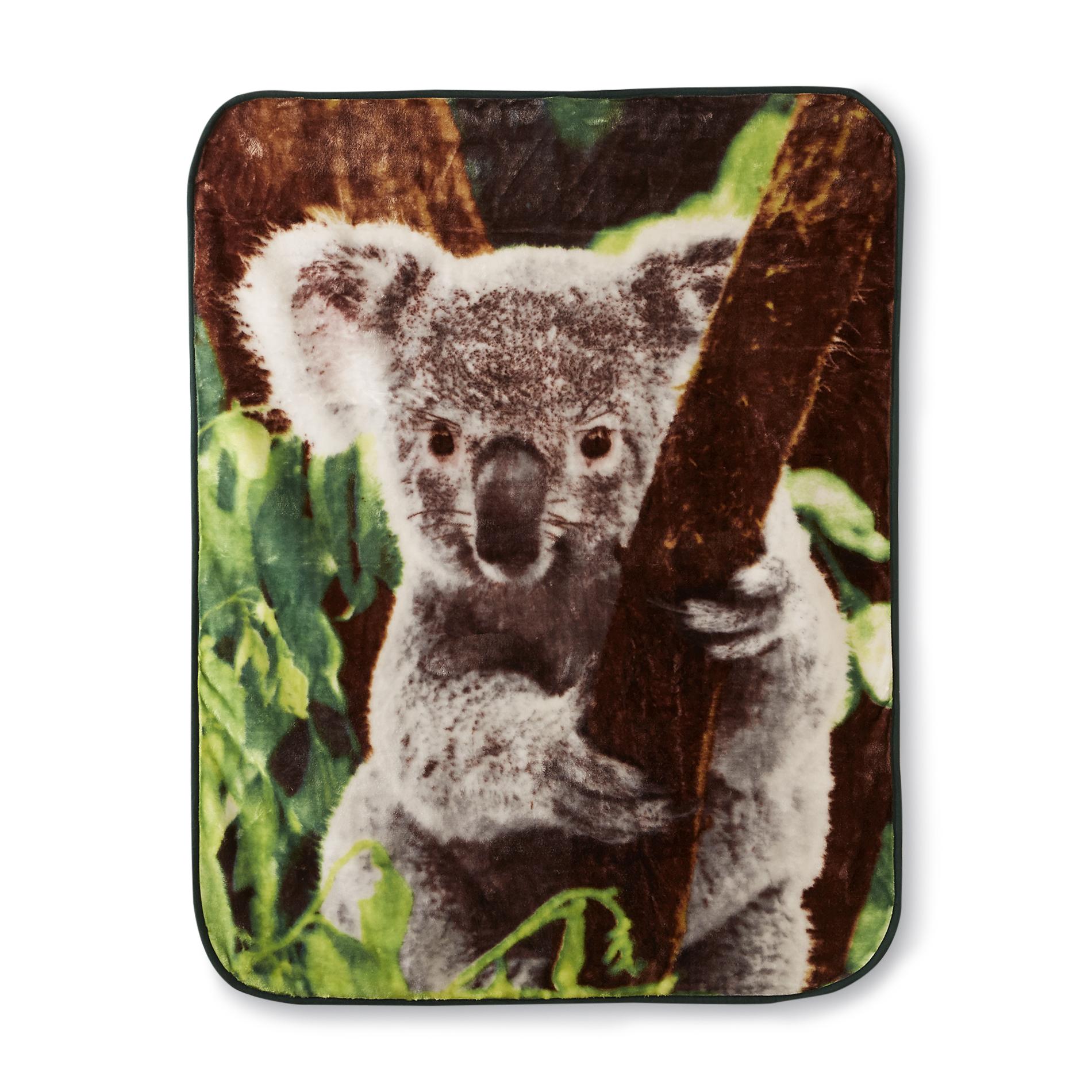 UPC 718498092093 Koala Bear High Pile Throw