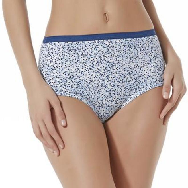 Hanes Women's 4Pairs Ultimate Cotton Comfort Brief Panties