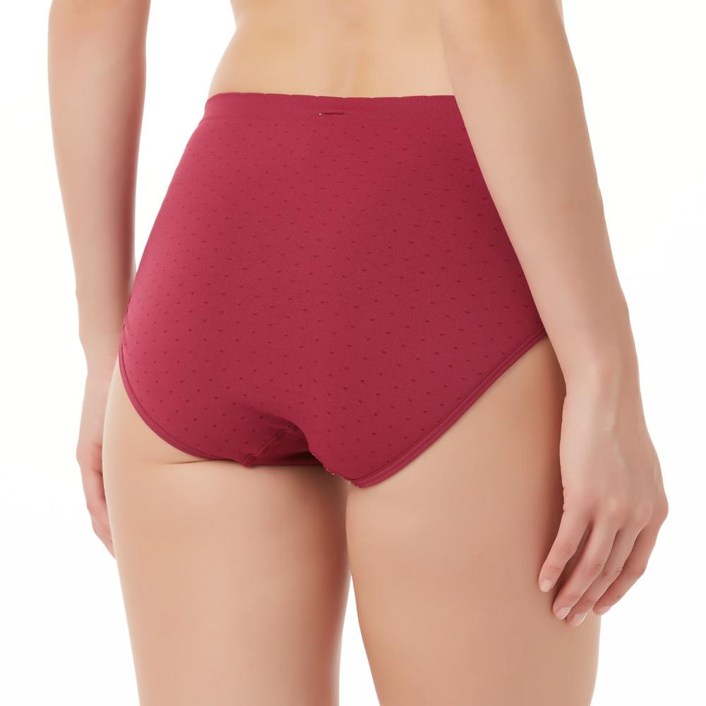 Women's 3-Pack Seamless Brief Panties