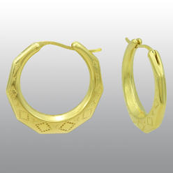 hoop earrings orleans 10k resin gold