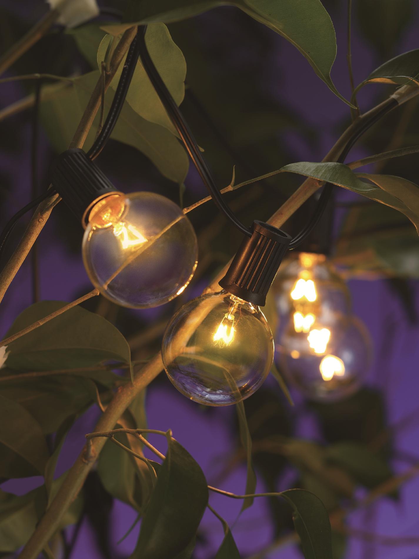 Essential Garden 12-ct. Decorative Globe String Lights