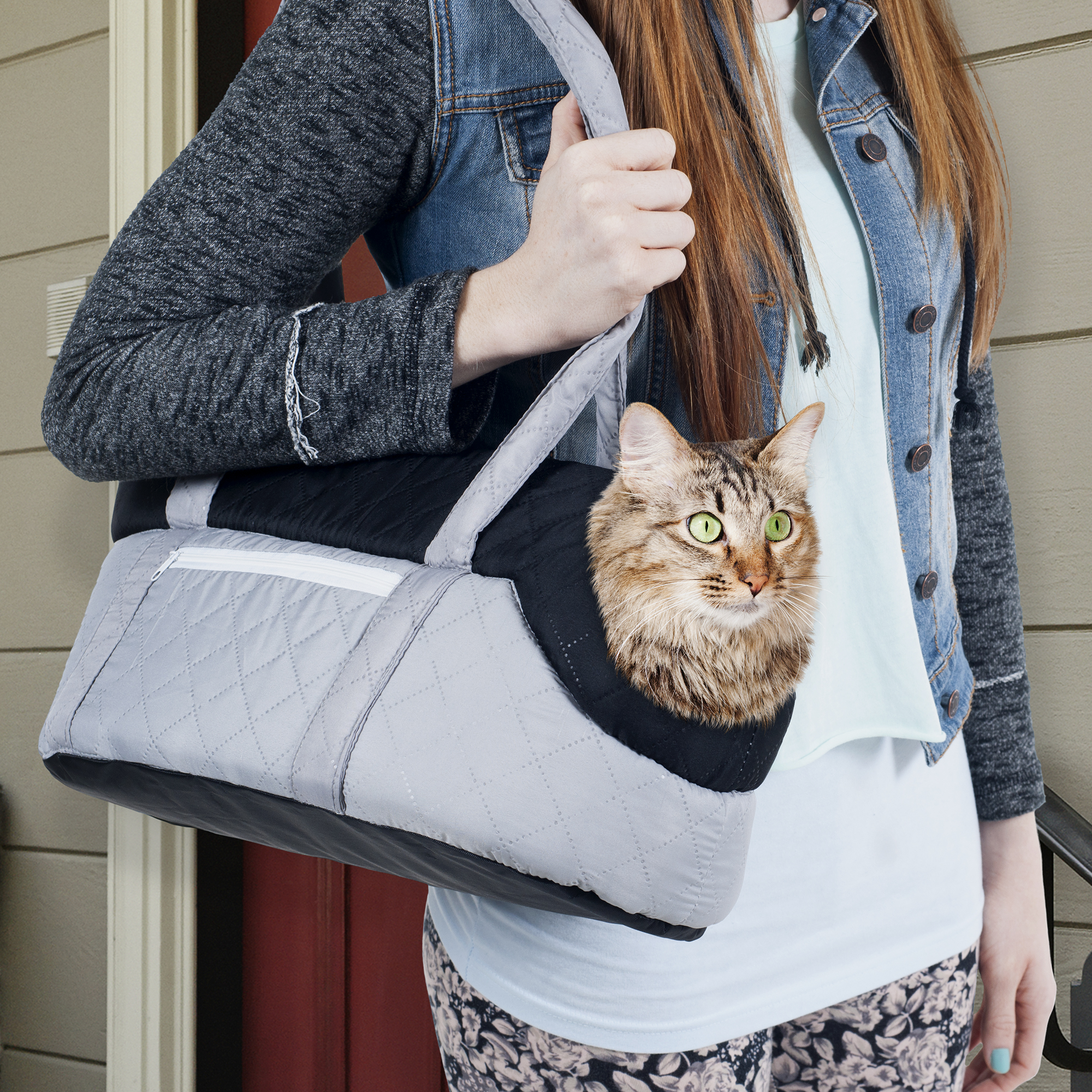 6 Best Cat Carriers That Will Help Keep Your Cat Calm [Dec. 2020]