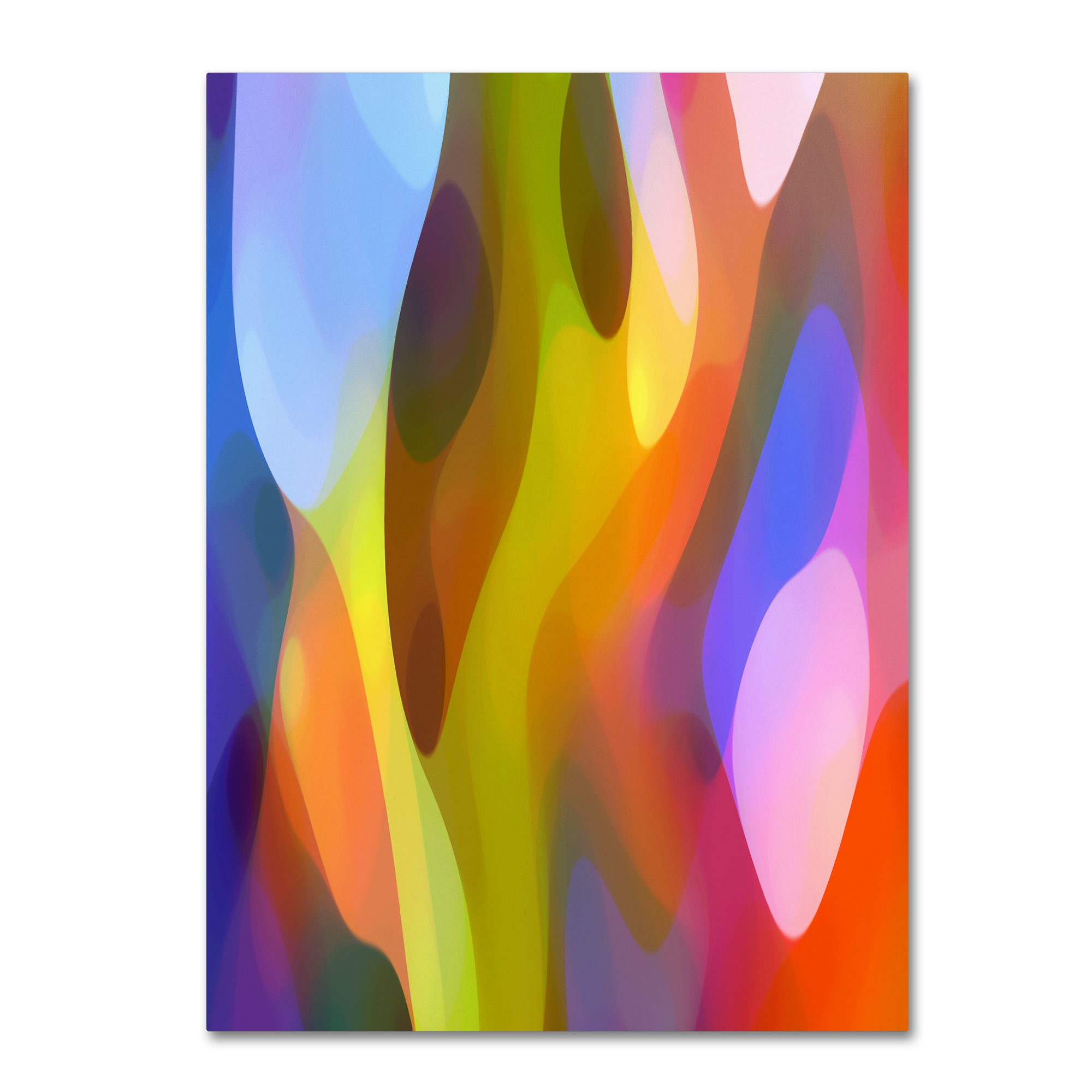 Trademark Global Amy Vangsgard 'Dappled Light 3' Canvas Art Trademark Global Amy Vangsgard 'Dappled Light 3' Canvas Art