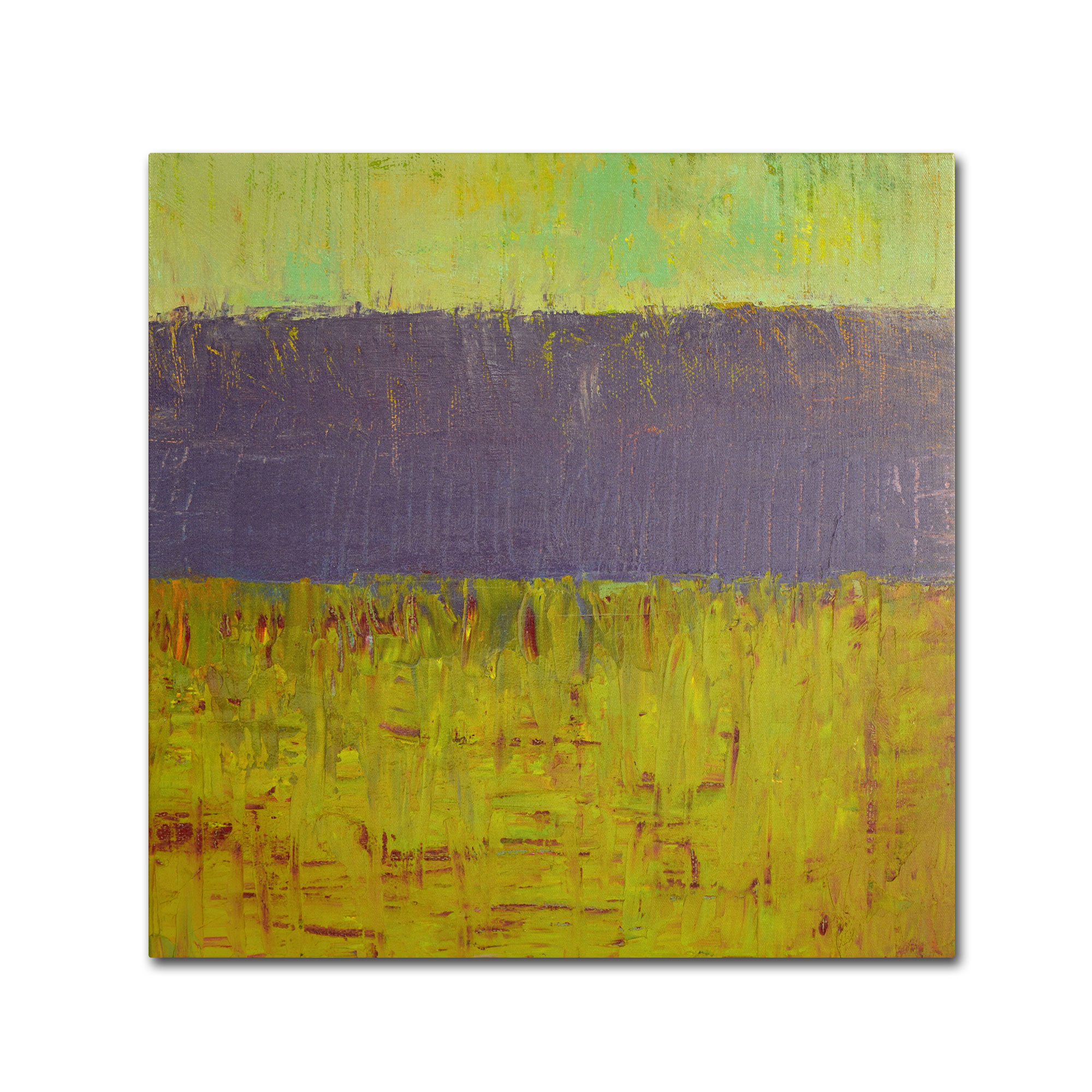 Trademark Global Michelle Calkins 'Highway Series Lake' Canvas Art Trademark Global Michelle Calkins 'Highway Series Lake' Canvas Art