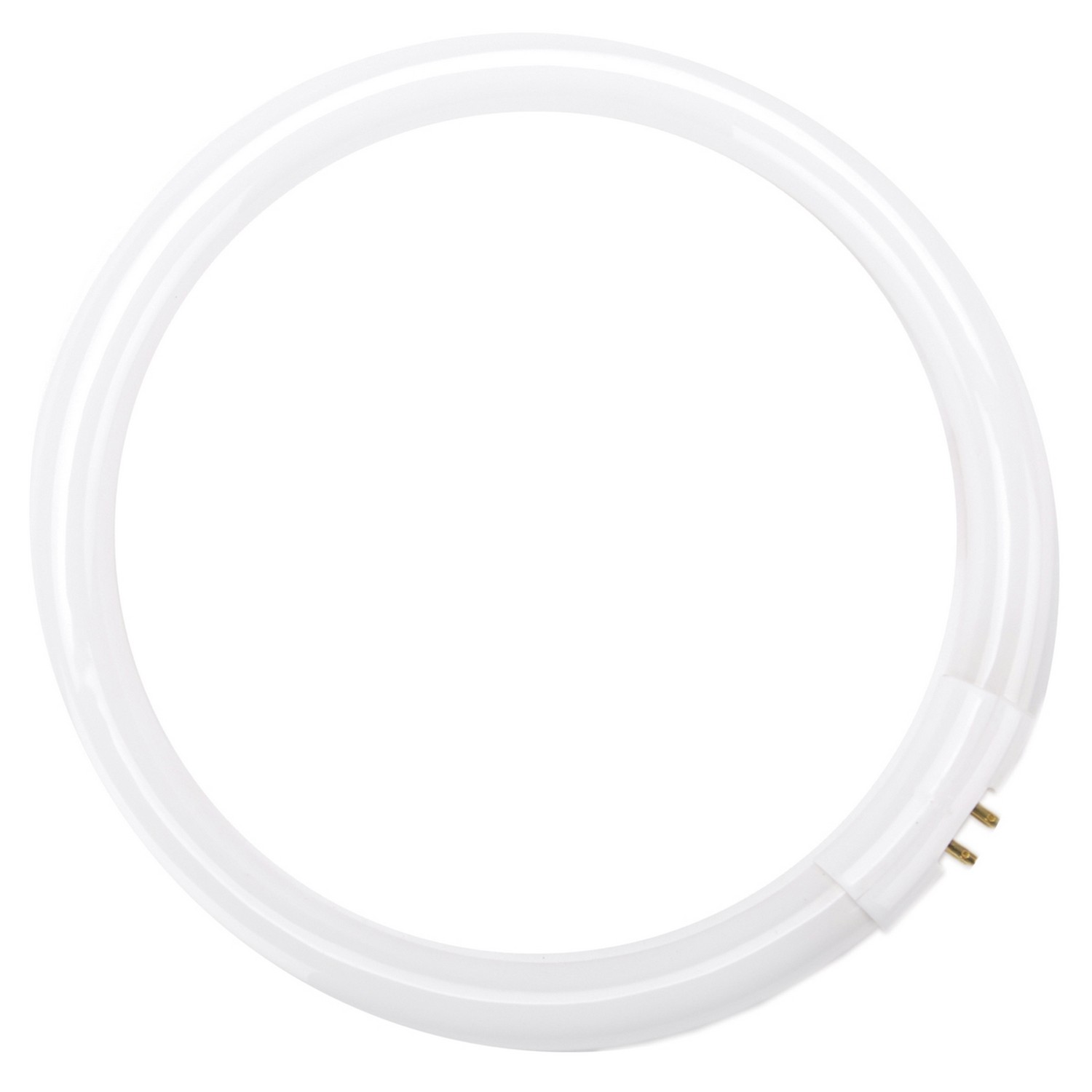 DAYLIGHT Naturalight Fluorescent Replacement Tube-22w Circular DAYLIGHT Naturalight Fluorescent Replacement Tube-22w Circular