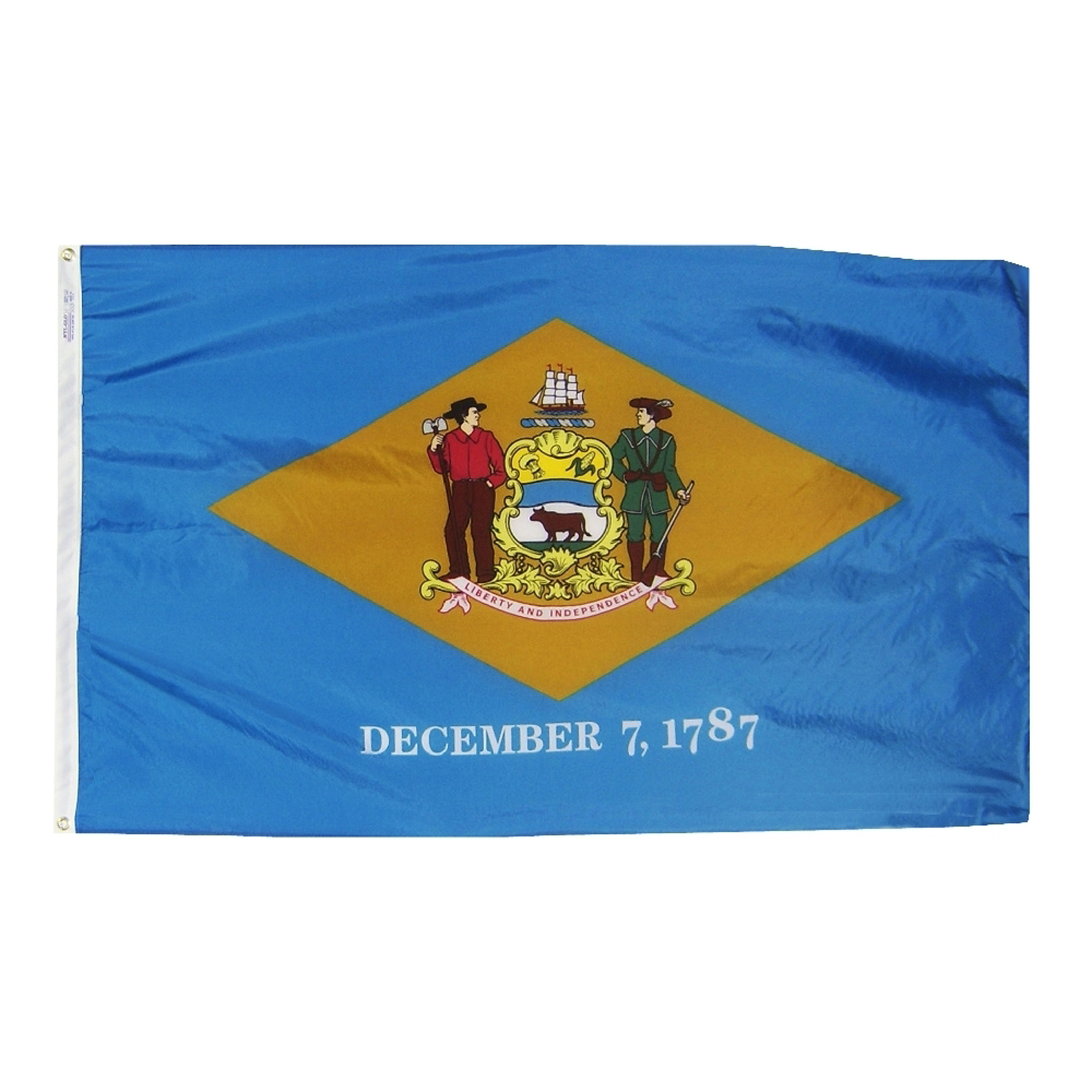 Annin Flagmakers Delaware State Flag 4' x 6' Nylon,