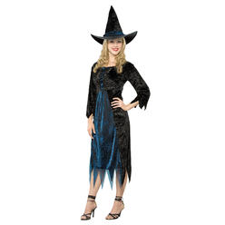 Totally Ghoul Womens Blue Spider Witch Halloween Costume Size: One Size Fits Most