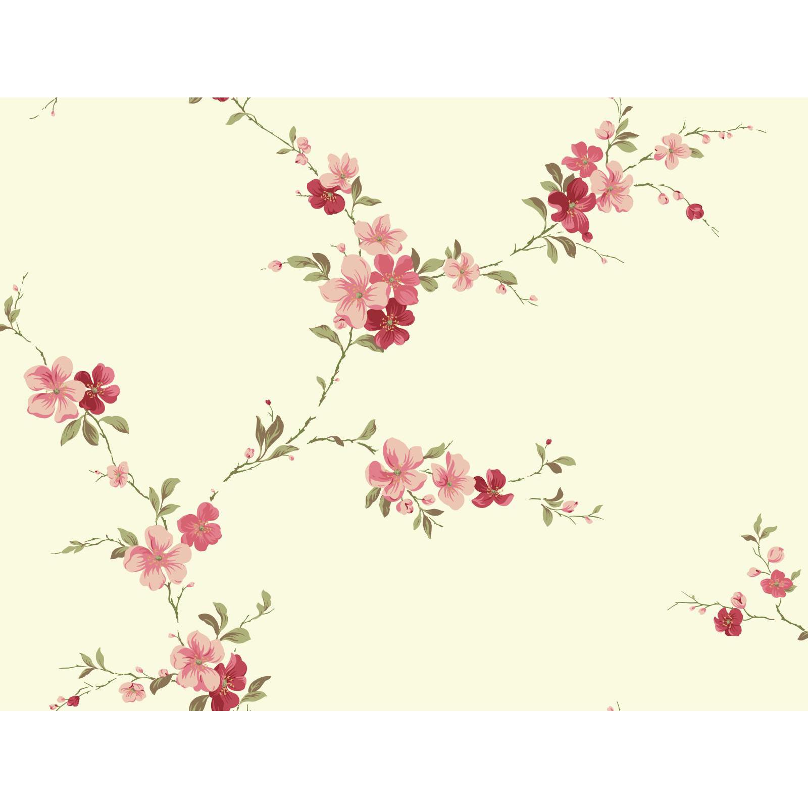 York Wallcoverings Red  Blossom Trail Wallpaper in Cream