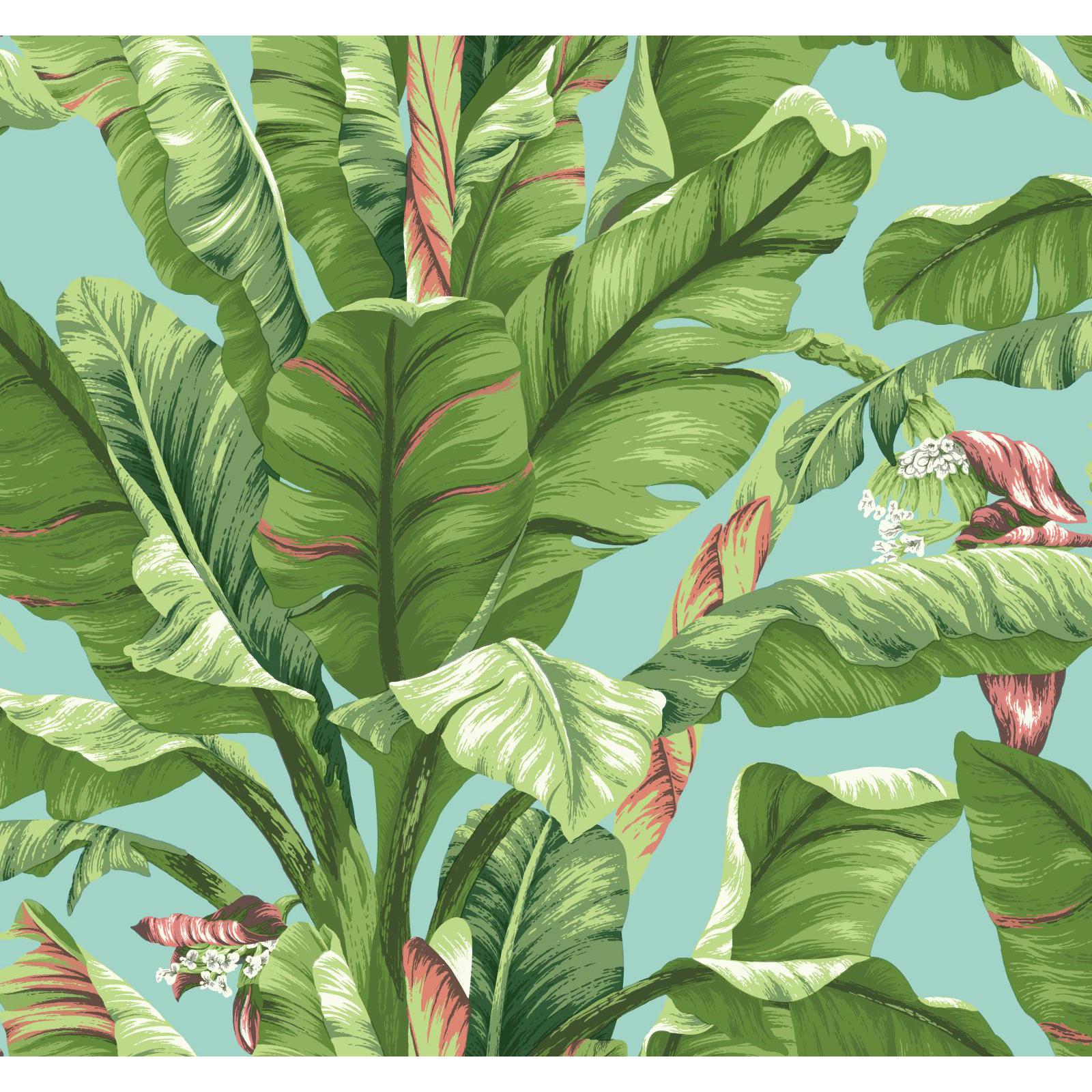 York Wallcoverings Tropics Banana Leaf Wallpaper