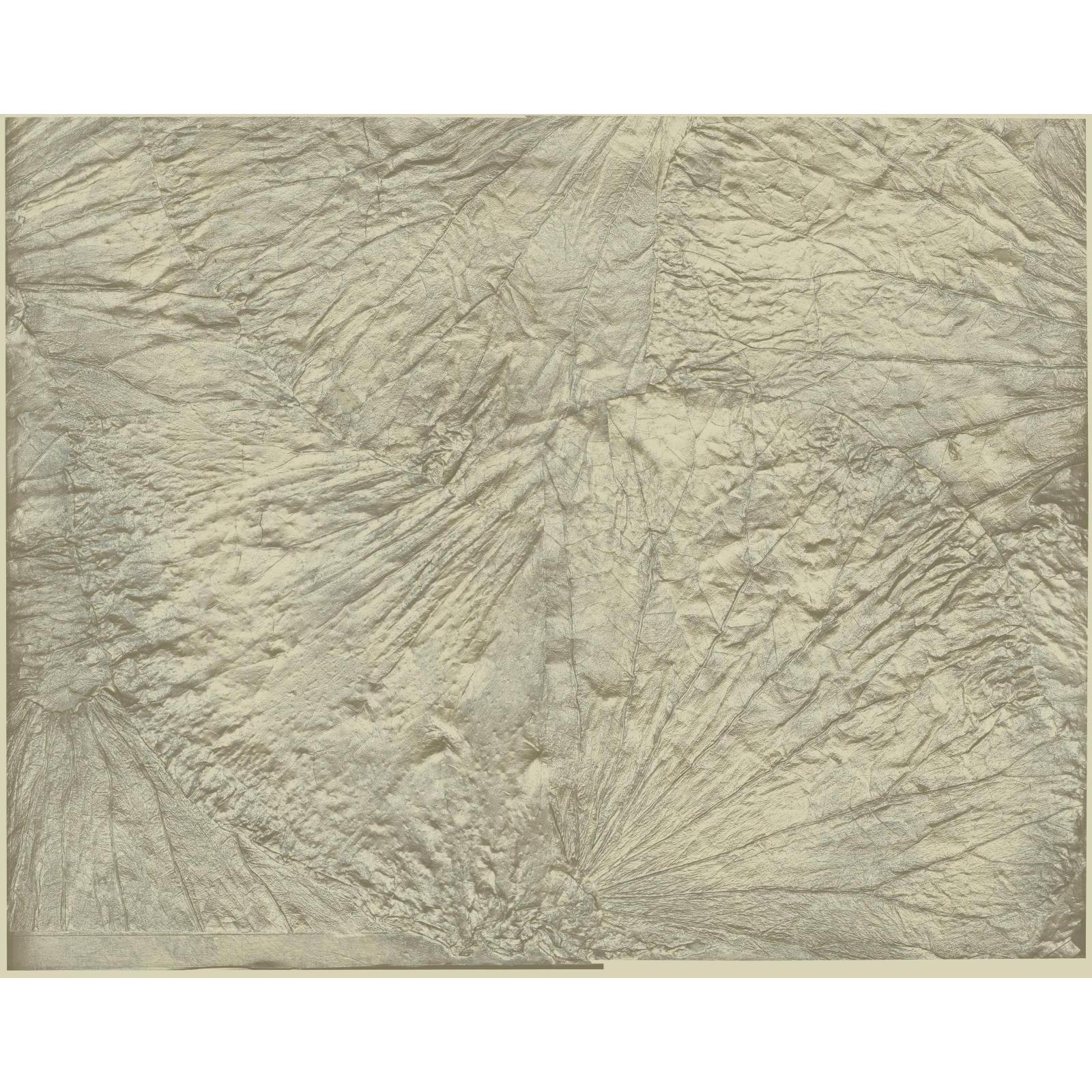 York Wallcoverings Wall Sculpture Leaf Scallop Wallpaper