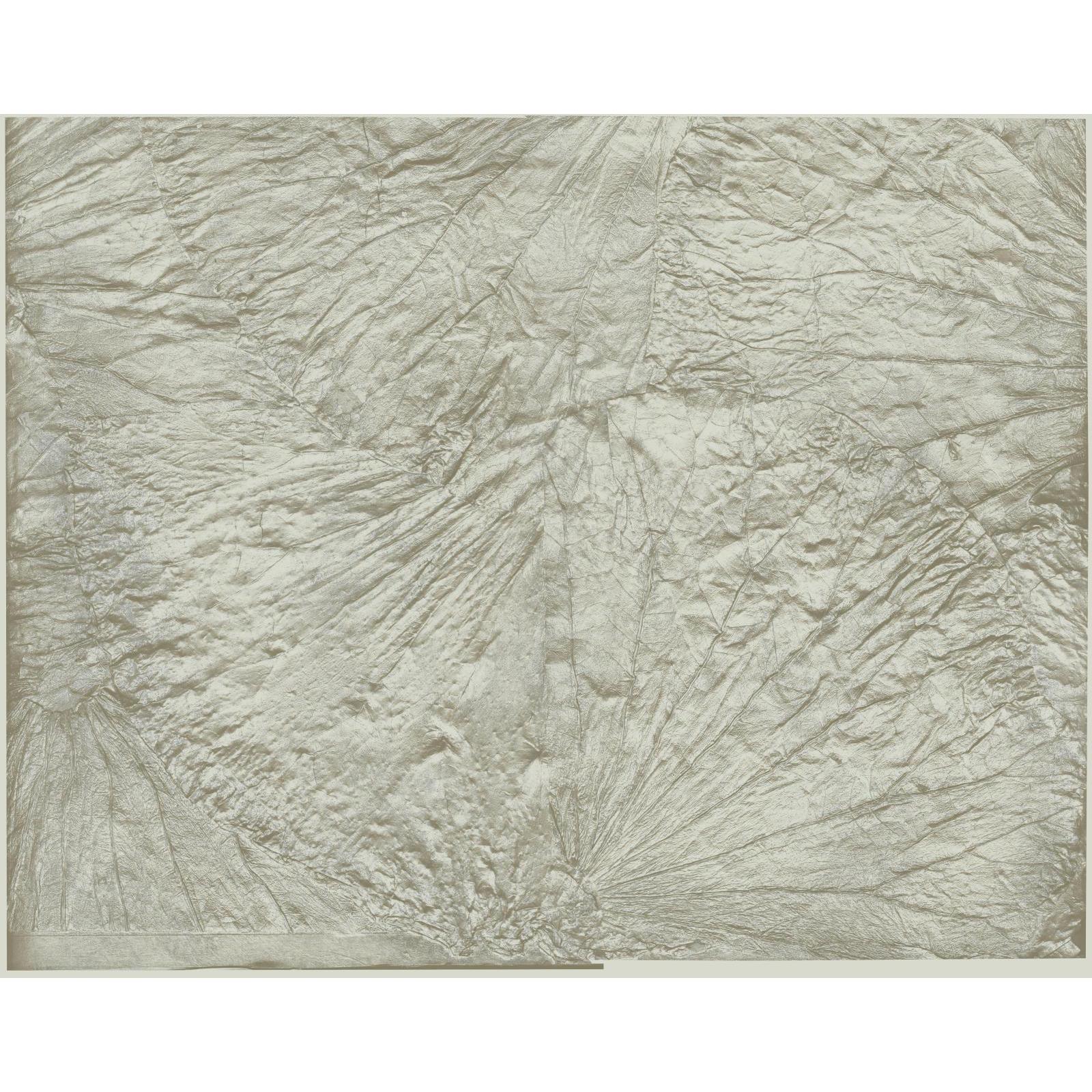 York Wallcoverings Wall Sculpture Leaf Scallop Wallpaper