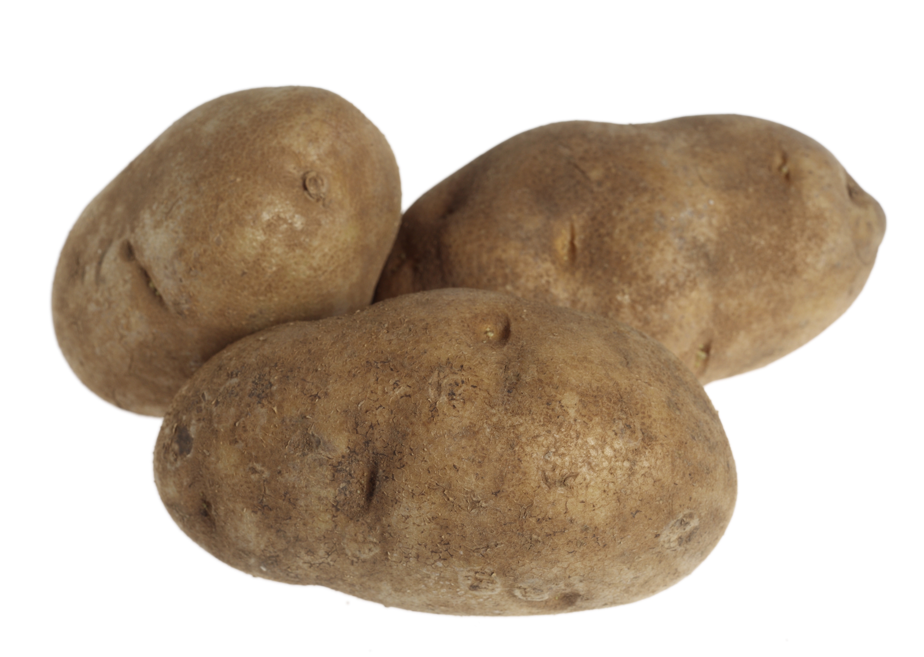 UPC 033383536101 product image for Food You Feel Good About Potatoes, Idaho, Russet, Premium 5 lb (2.27 kg) | upcitemdb.com