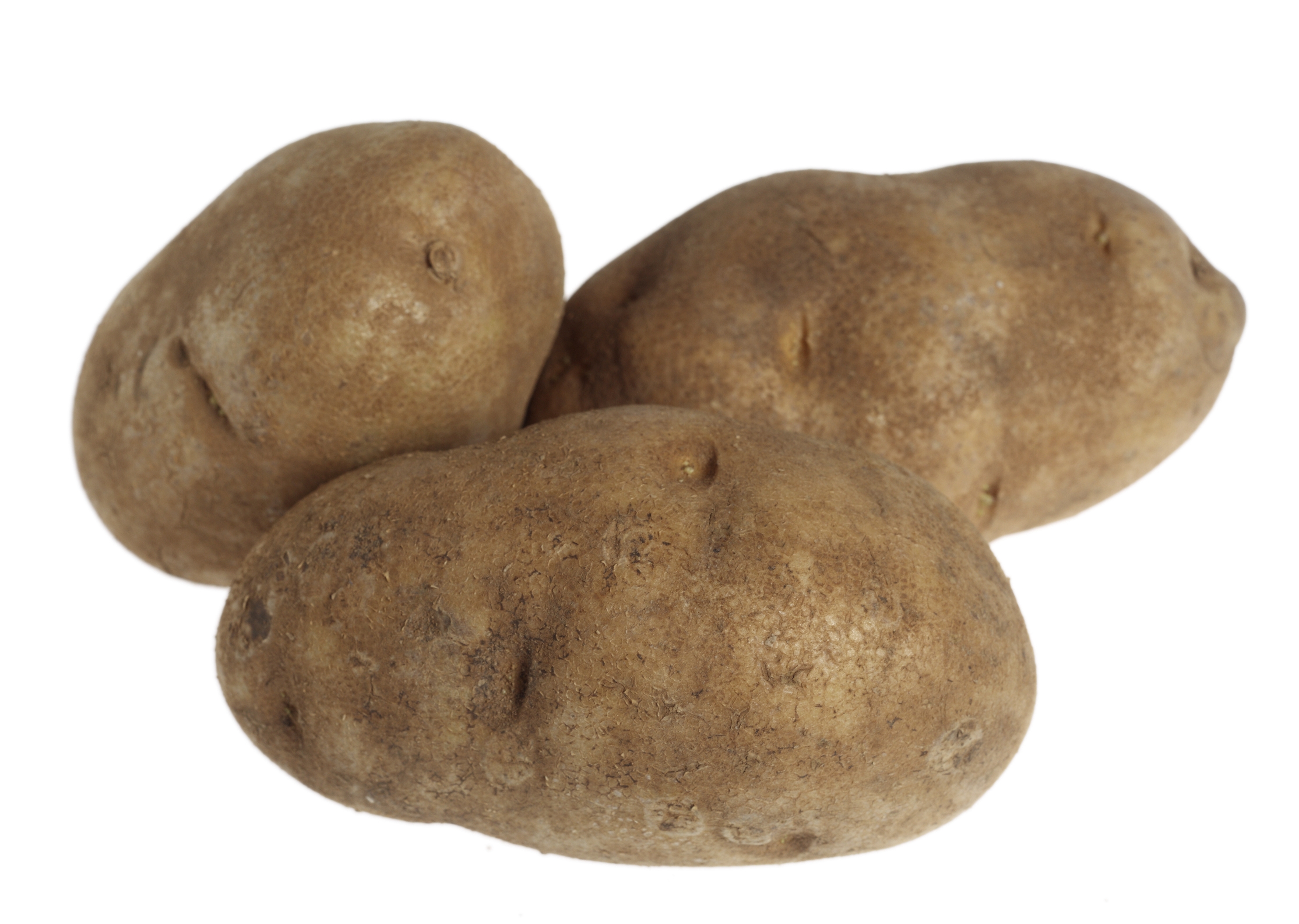 UPC 033383536101 HARVEST IDAHO RUSSET POTATOES Upcitemdb