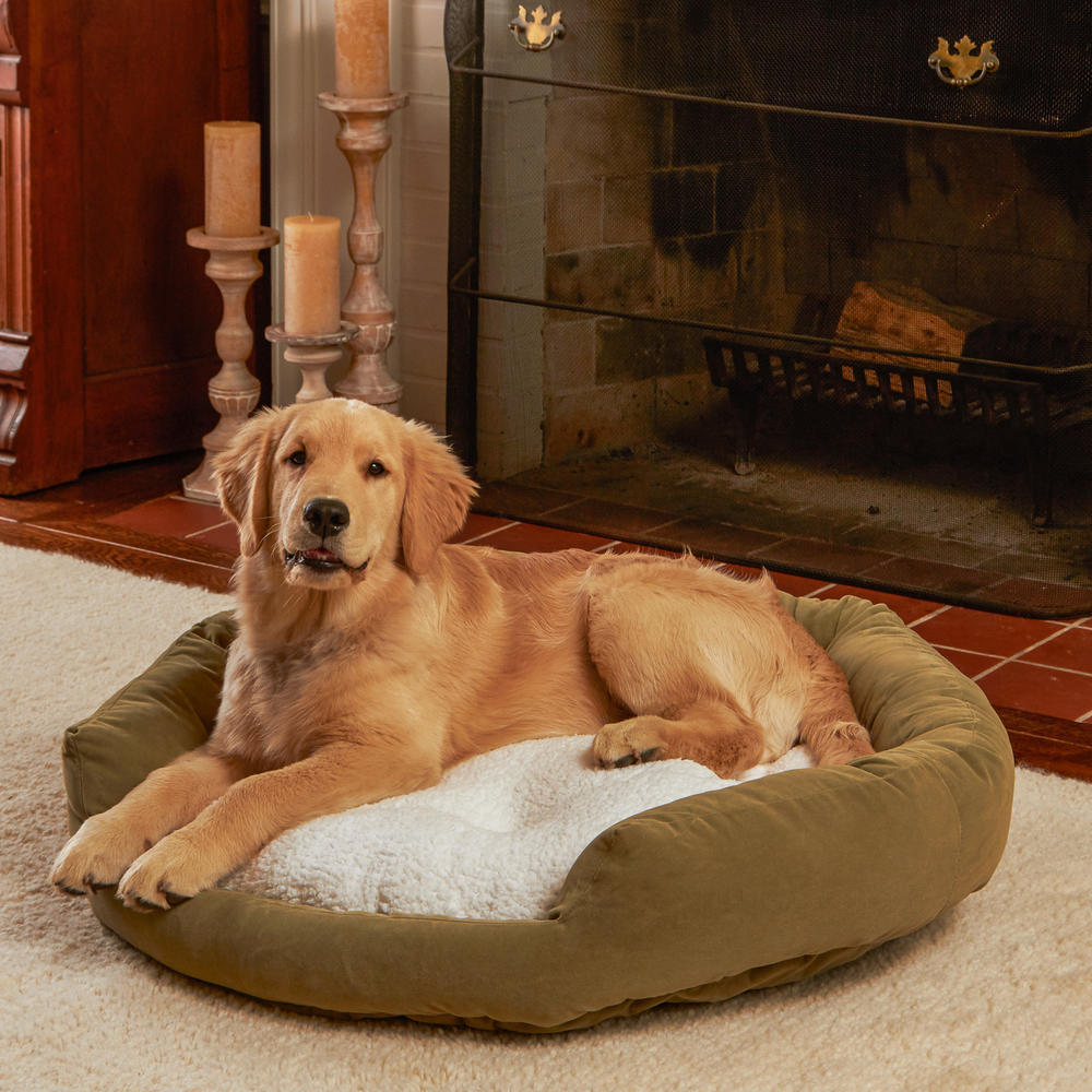 Murphy Donut Dog Bed - Large (42 inch) - Moss