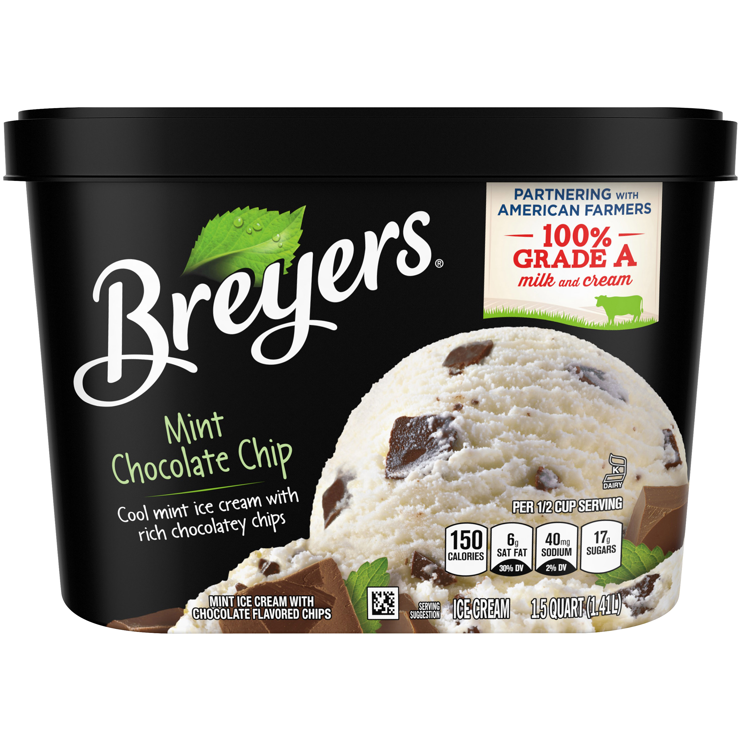 UPC 077567254245 product image for Mint Chocolate Chip Ice Cream 1.5 QT TUB | upcitemdb.com