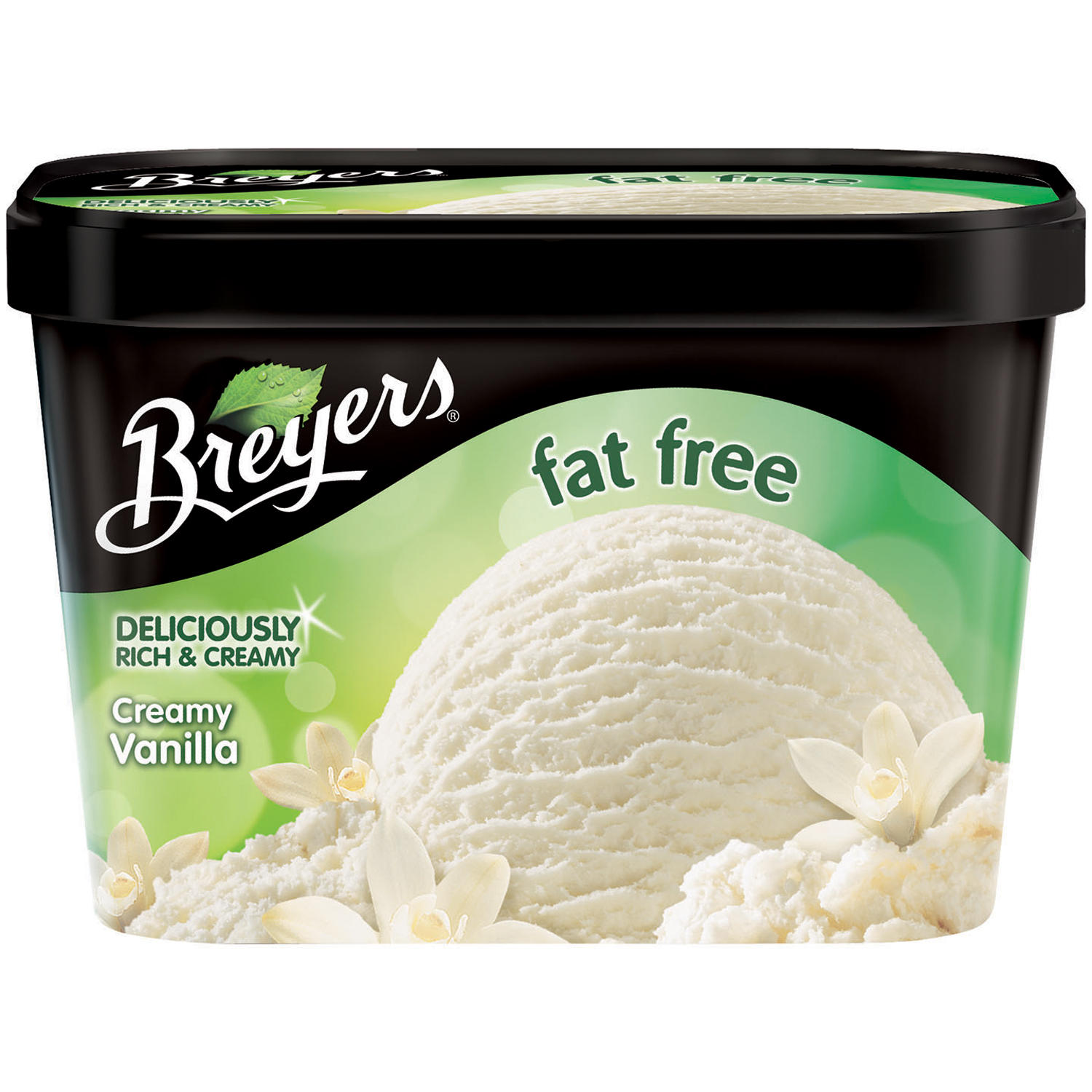 UPC 077567295002 product image for Creamy Vanilla Fat Free Ice Cream | upcitemdb.com