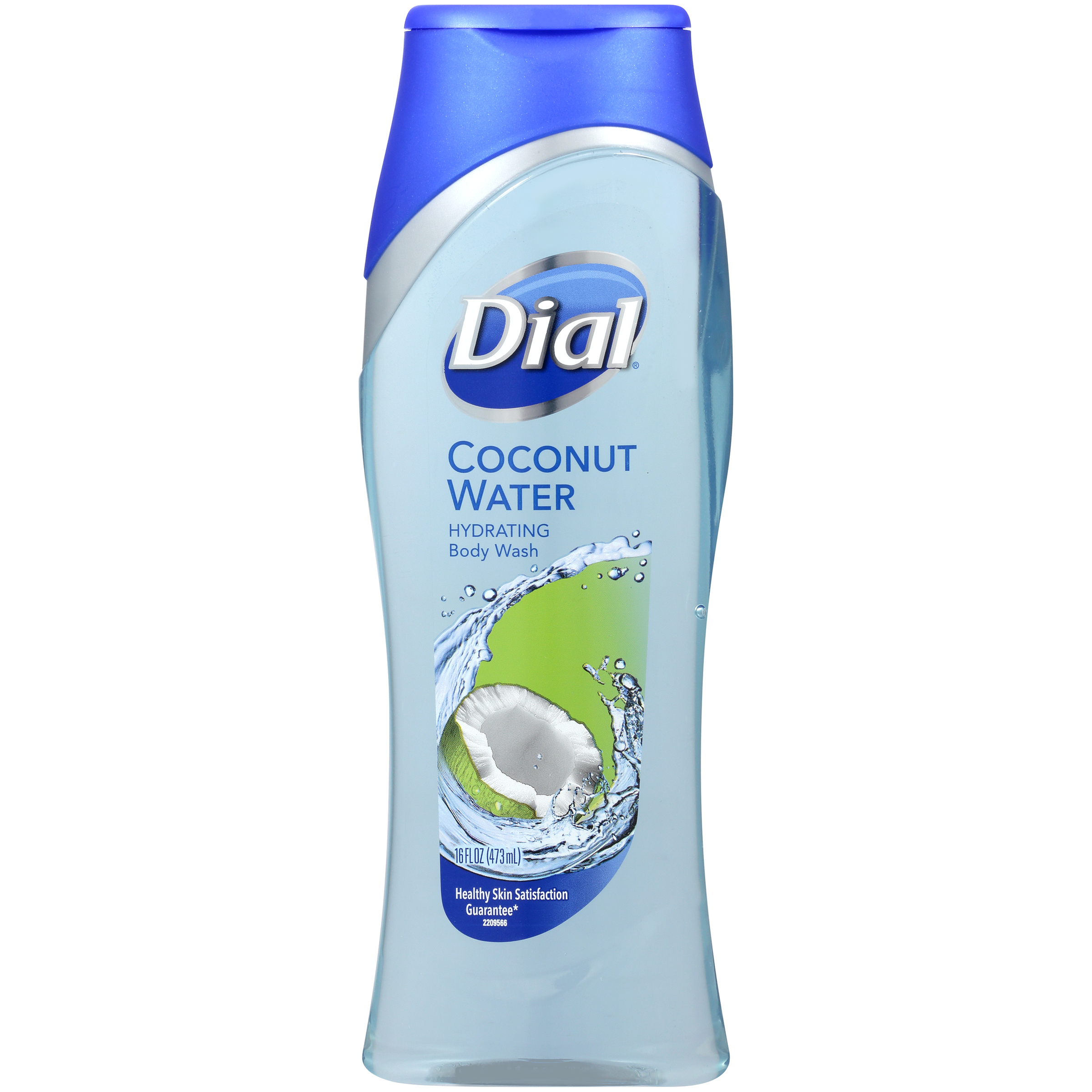 Dial Body Wash, Coconut Water & Bamboo Leaf Extract, 16 fl oz (473 ml) Shop Your Way Online