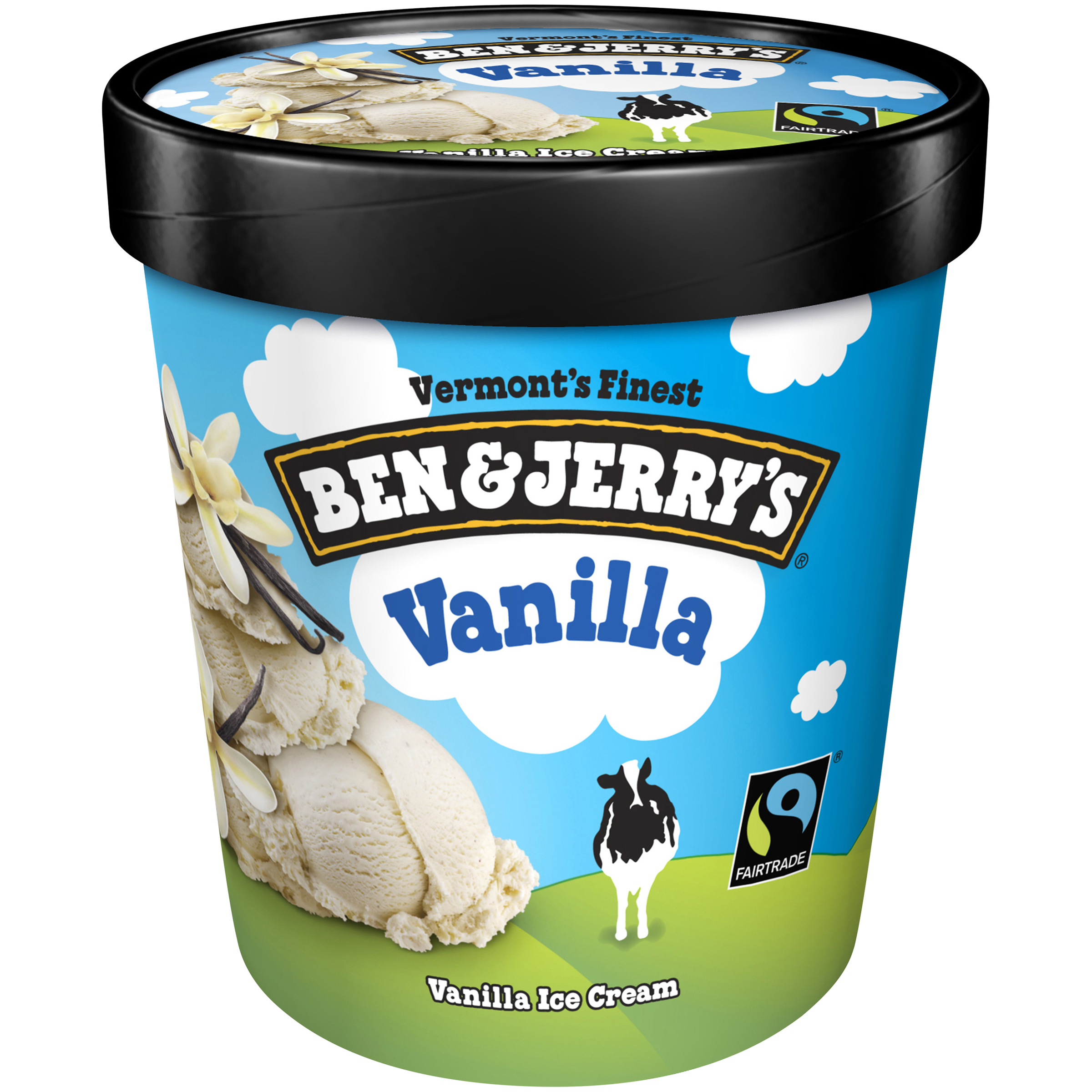 UPC 076840400058 product image for Ice Cream, Vanilla, 1 pt (473 ml) | upcitemdb.com
