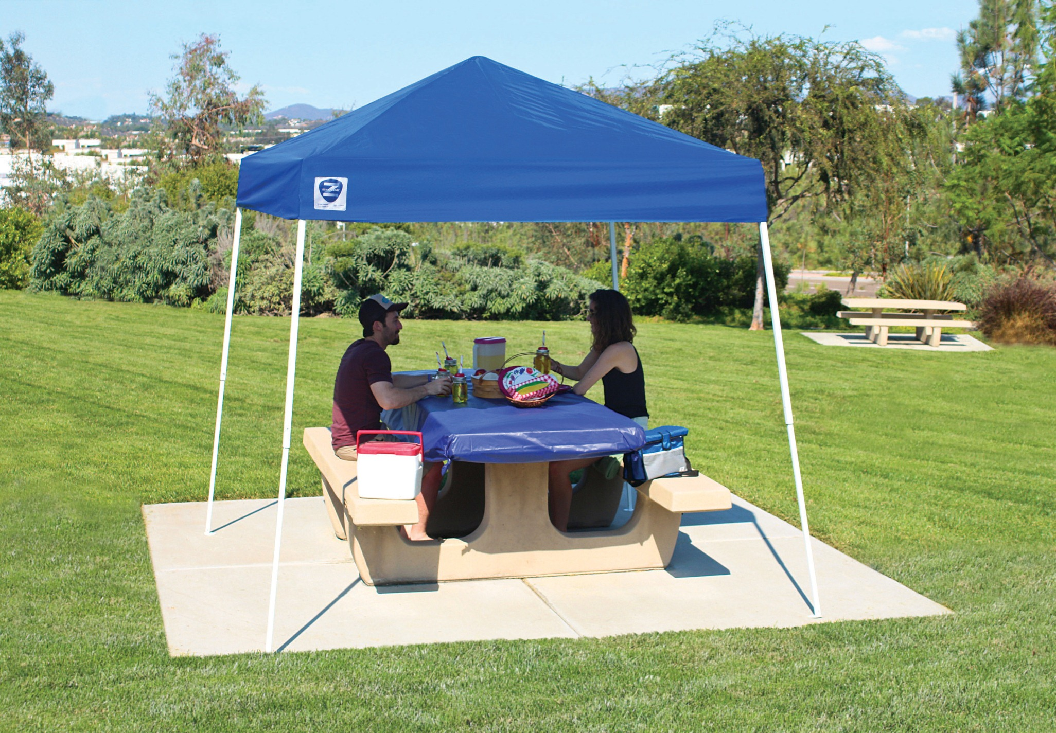 Z-Shade Sport Canopy, 8x8 x 102" H - Outdoor Living ...