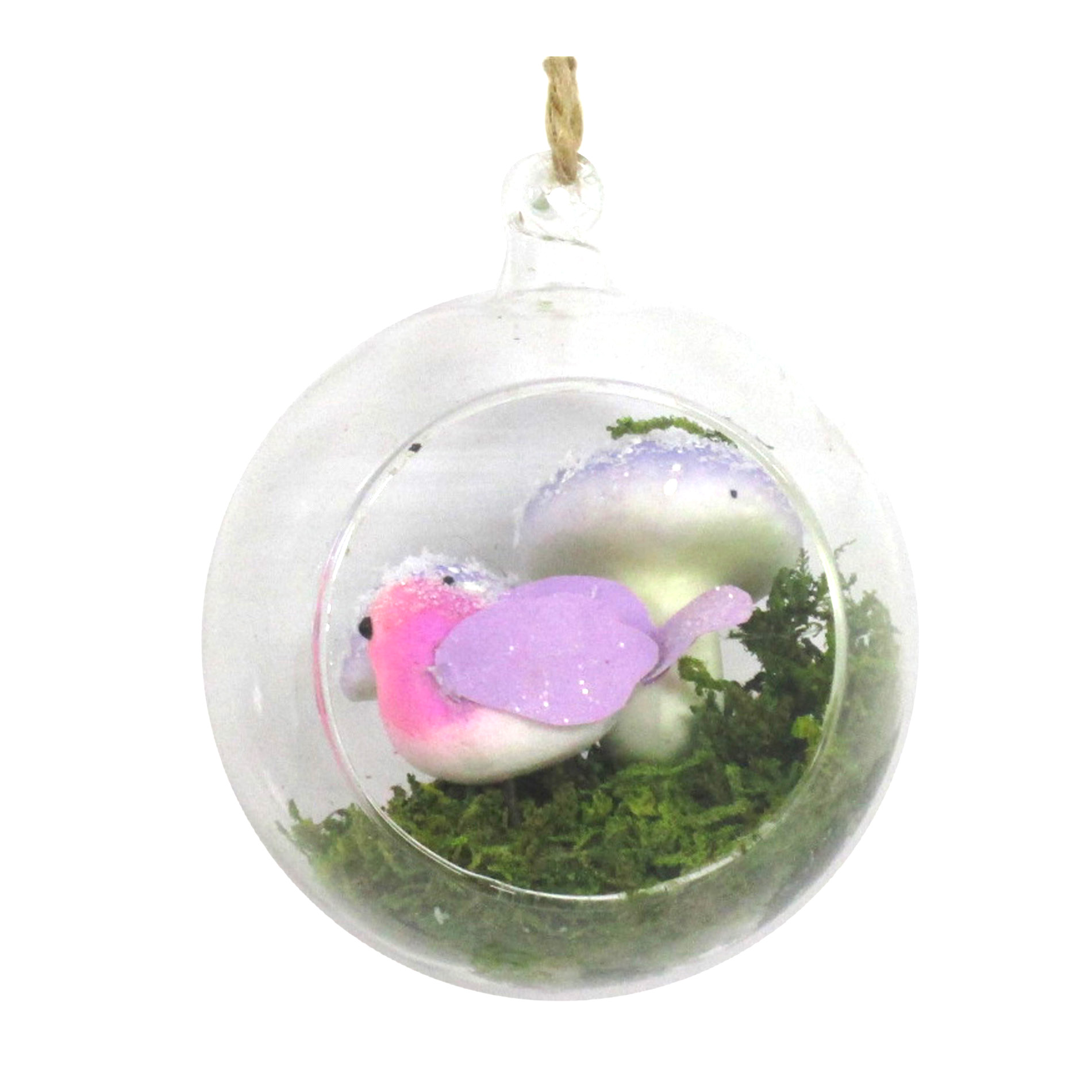 Jaclyn Smith 3.5 Glass Terrarium Pink