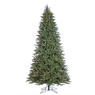 Donner Fir Christmas Tree 2021