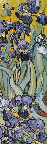 Van Gogh - Irises - detail