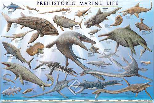 Prehistoric Marine Life