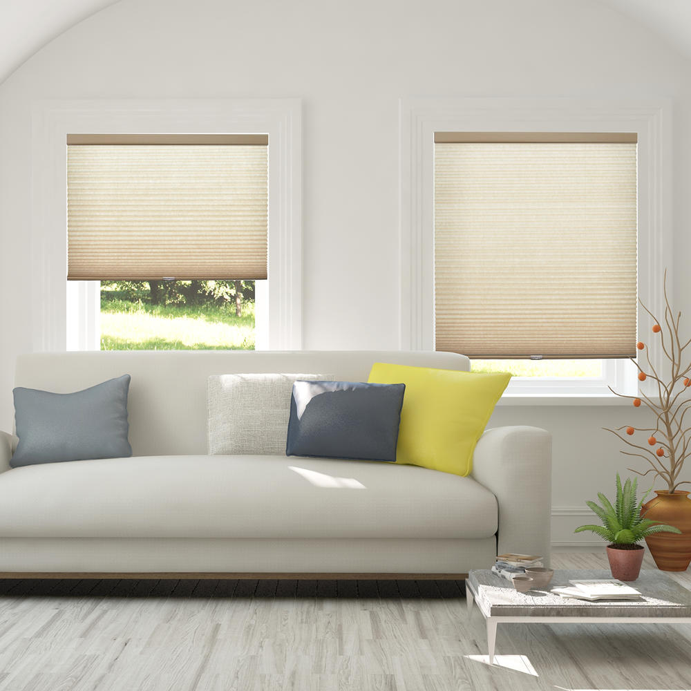 Chicology Cordless Cellular Shades, Privacy Single Cell Window Blind, (Honeycomb Cell)