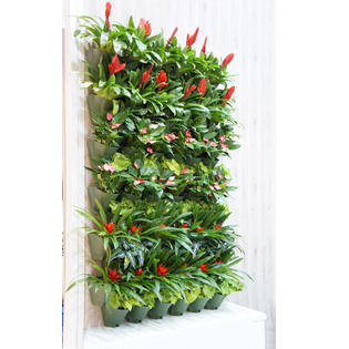 Worth Garden 4220 Self-Watering Vertical Garden 18 in. 3 Pockets