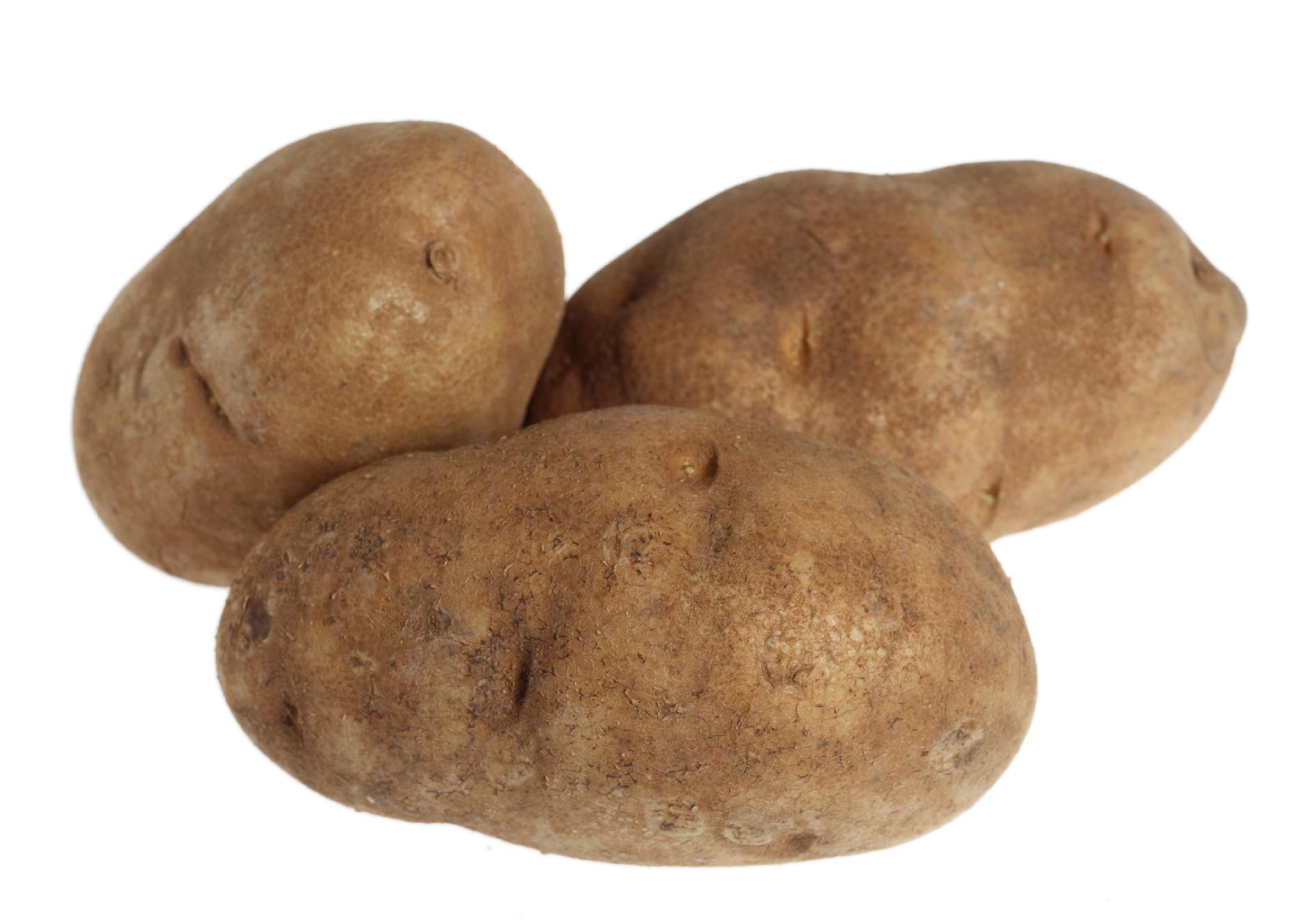 RUSSET POTATOES