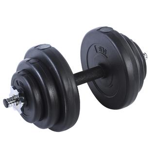 sunny health and fitness 40 lb flywheel