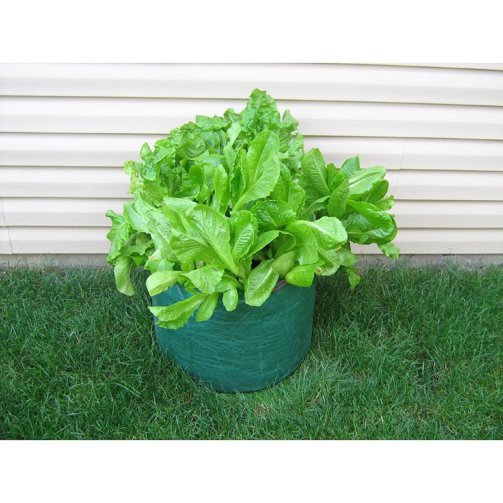 Salad Planter Bag