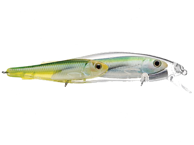 UPC 697713203738 product image for Koppers Live Target Emerald Shiner Jerkbait 4-1/2