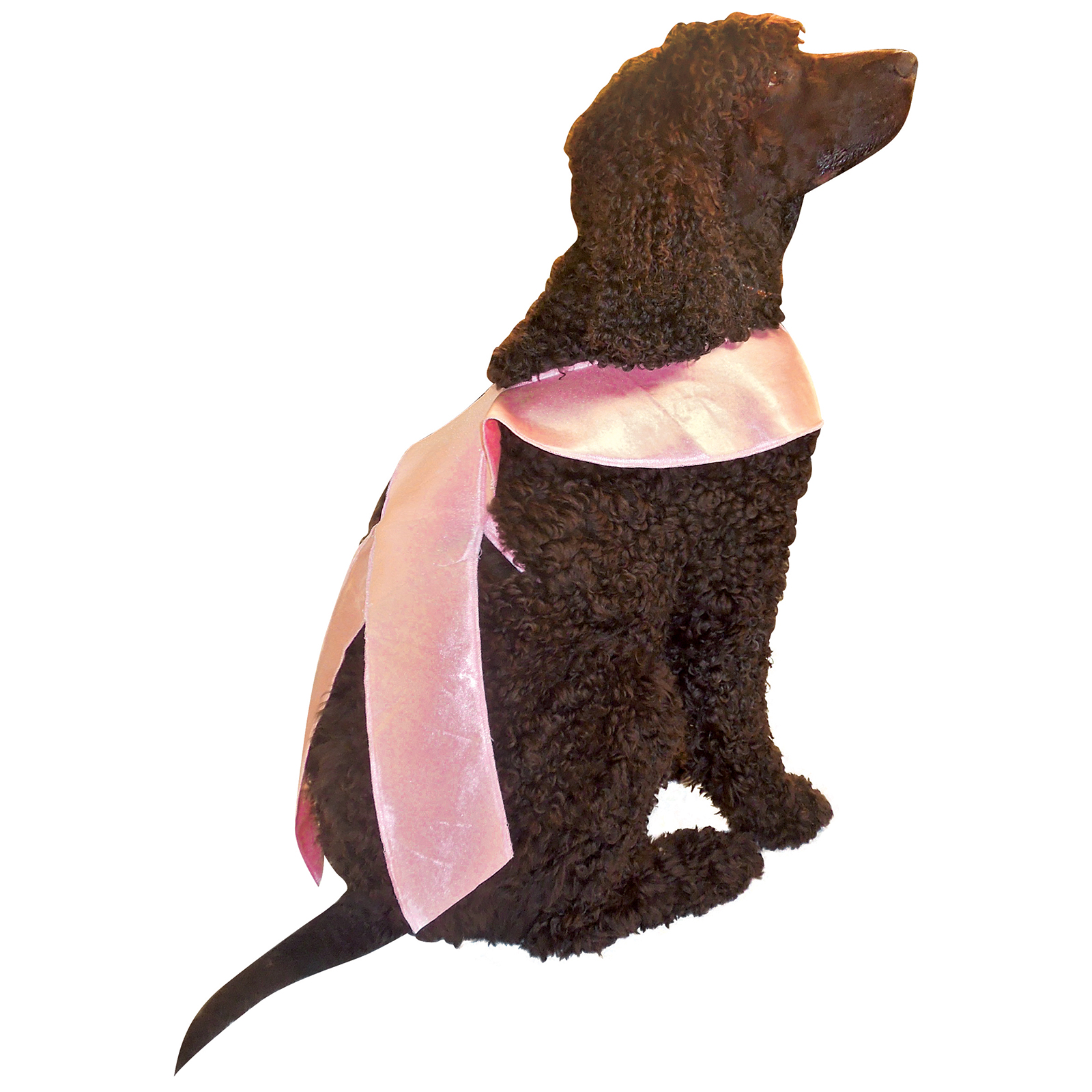 Pink Ribbon Dog Costume XXLarge