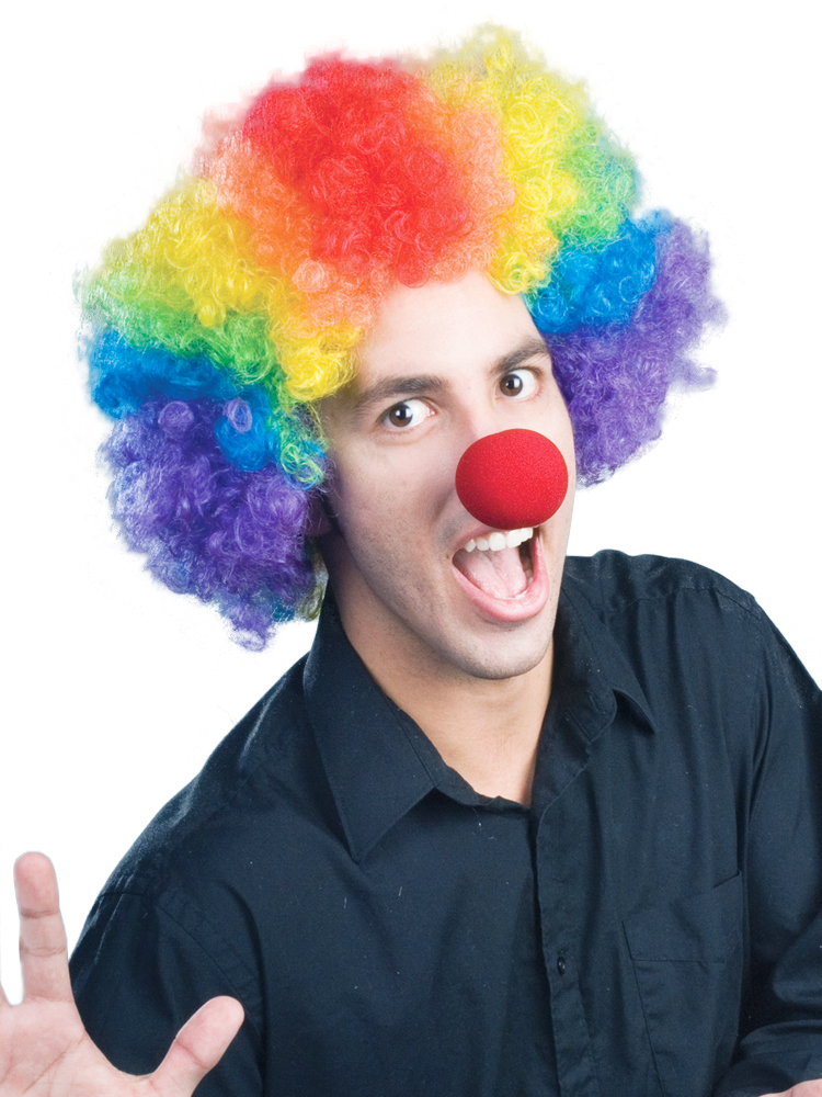 E/Clown Multi (rainbow) Wig