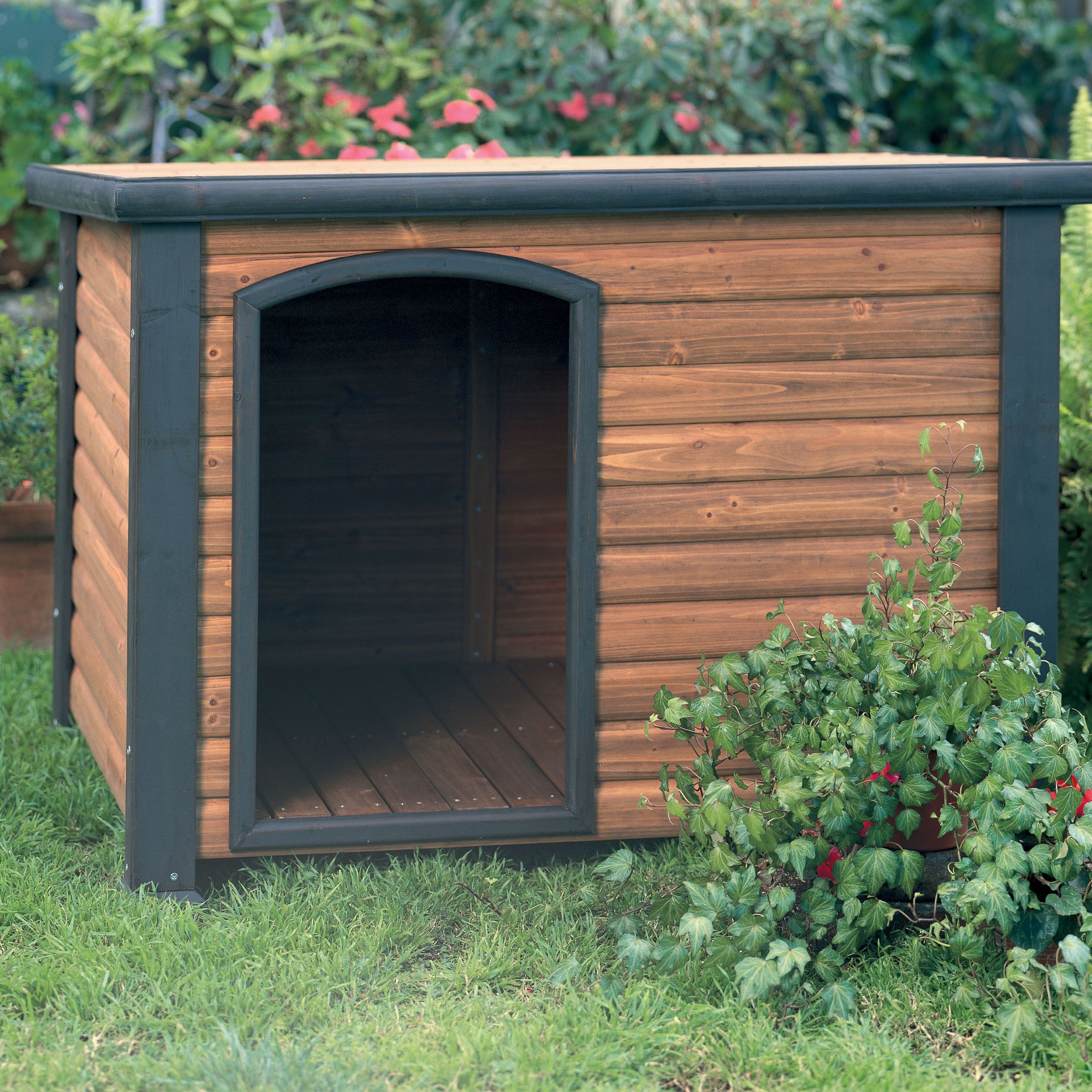 ProConcepts Painted K-9 Lodge Dog House at Kmart.com