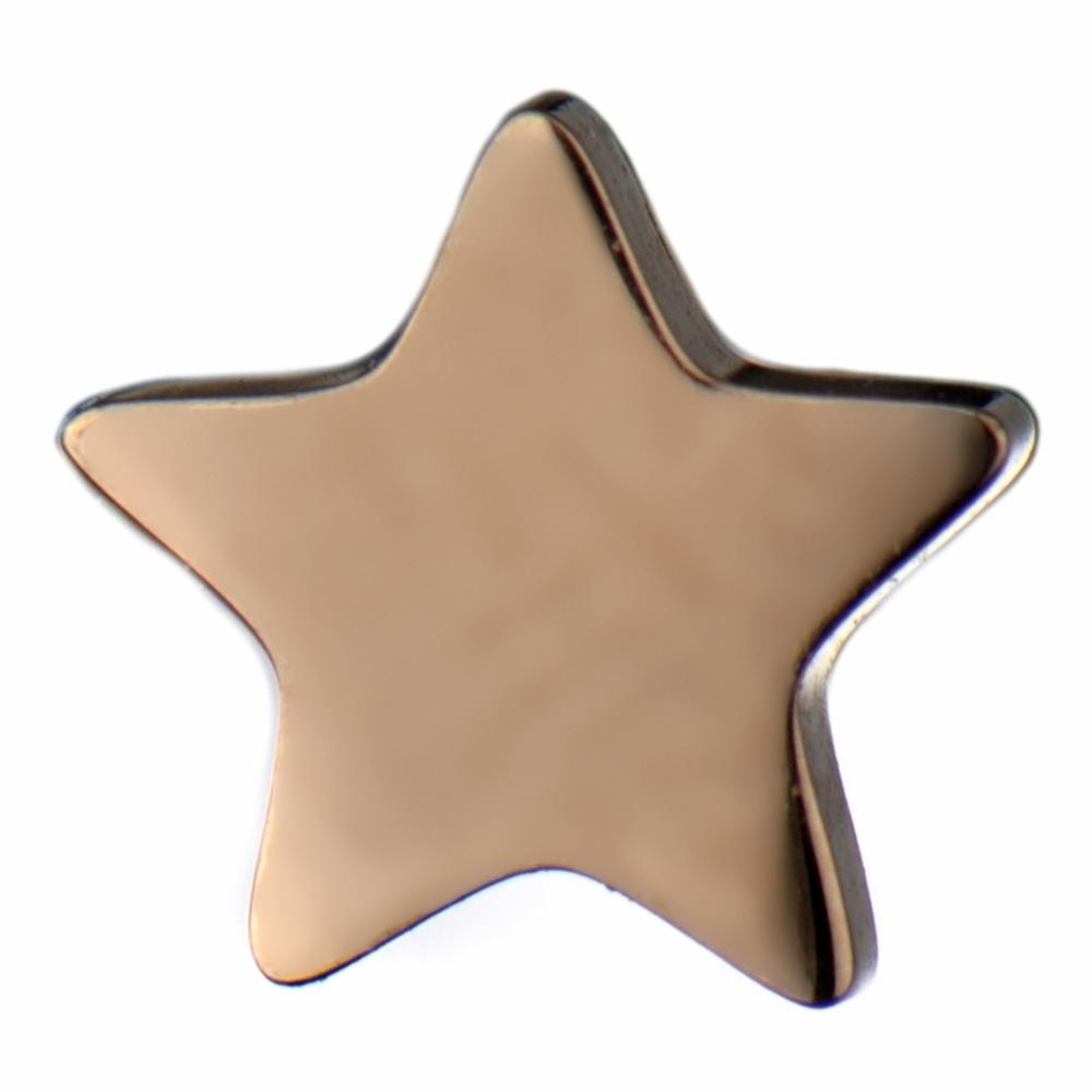 Rose Gold Double Star Front Back Earrings