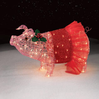 Pig in a red tutu