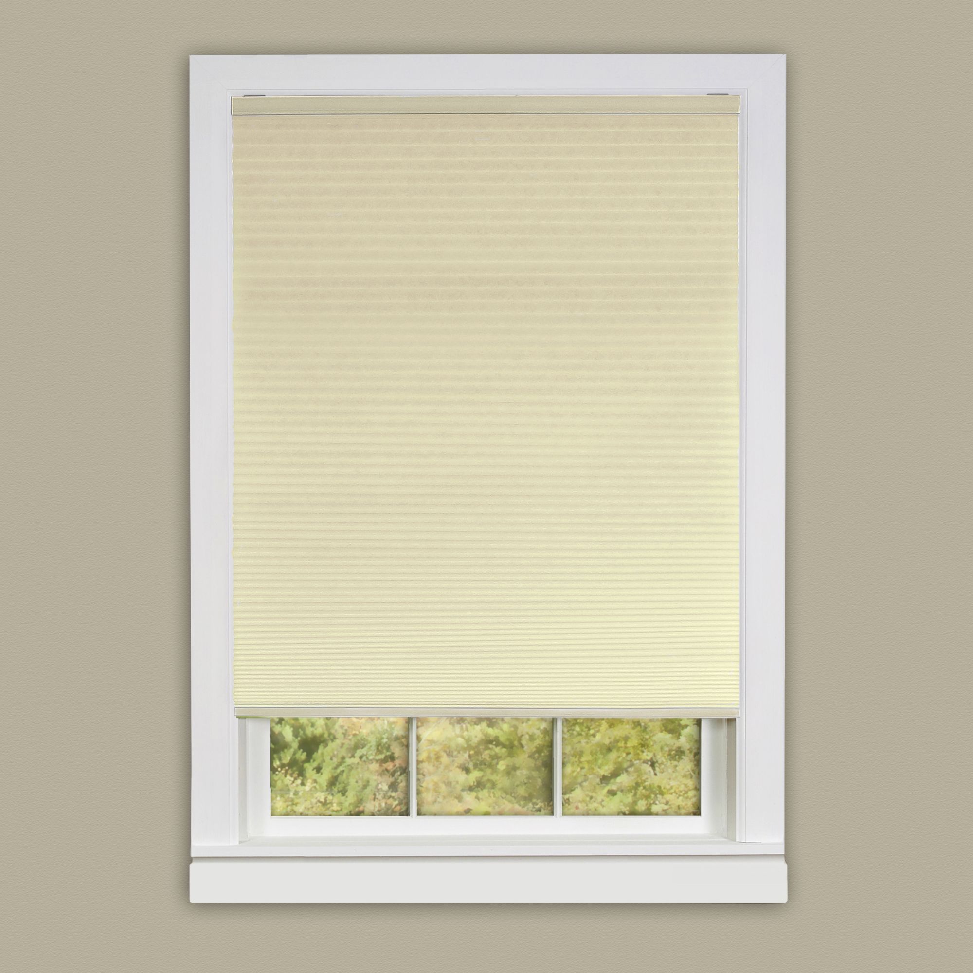 Honeycomb Cellular Alabaster Pleated Cordless Shade 23x64