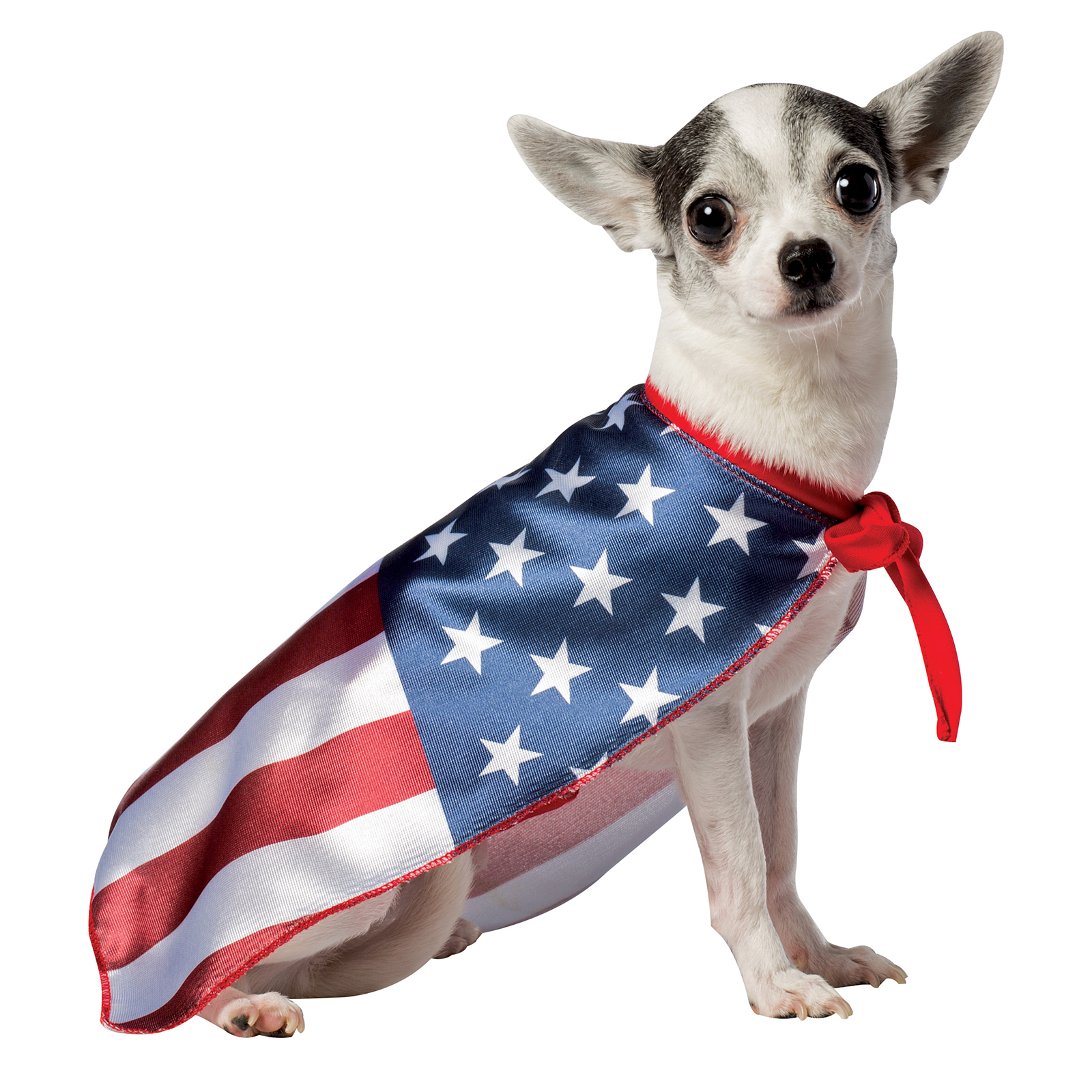 USA Flag Cape Dog Costume X-Small