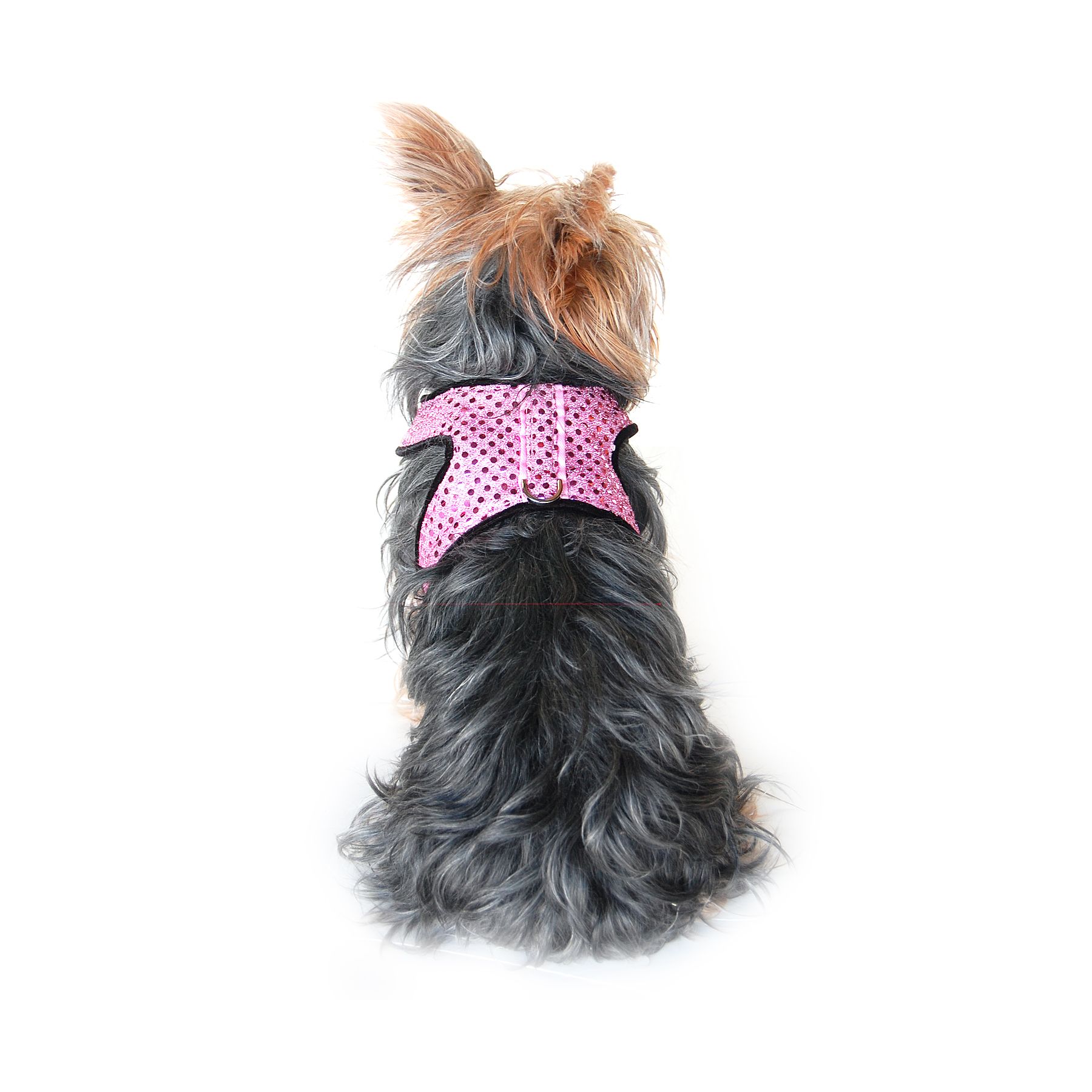Extra Small Sparkle Harness with Leash