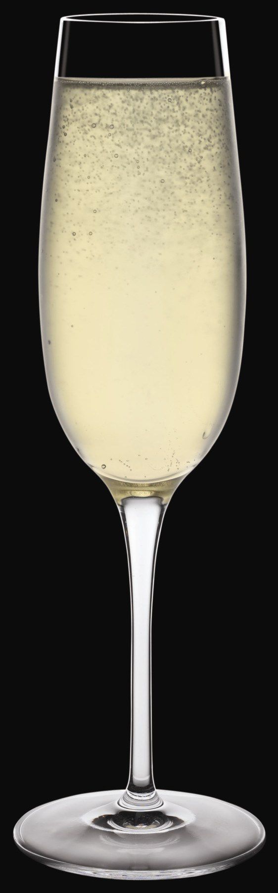 Champagne Glasses