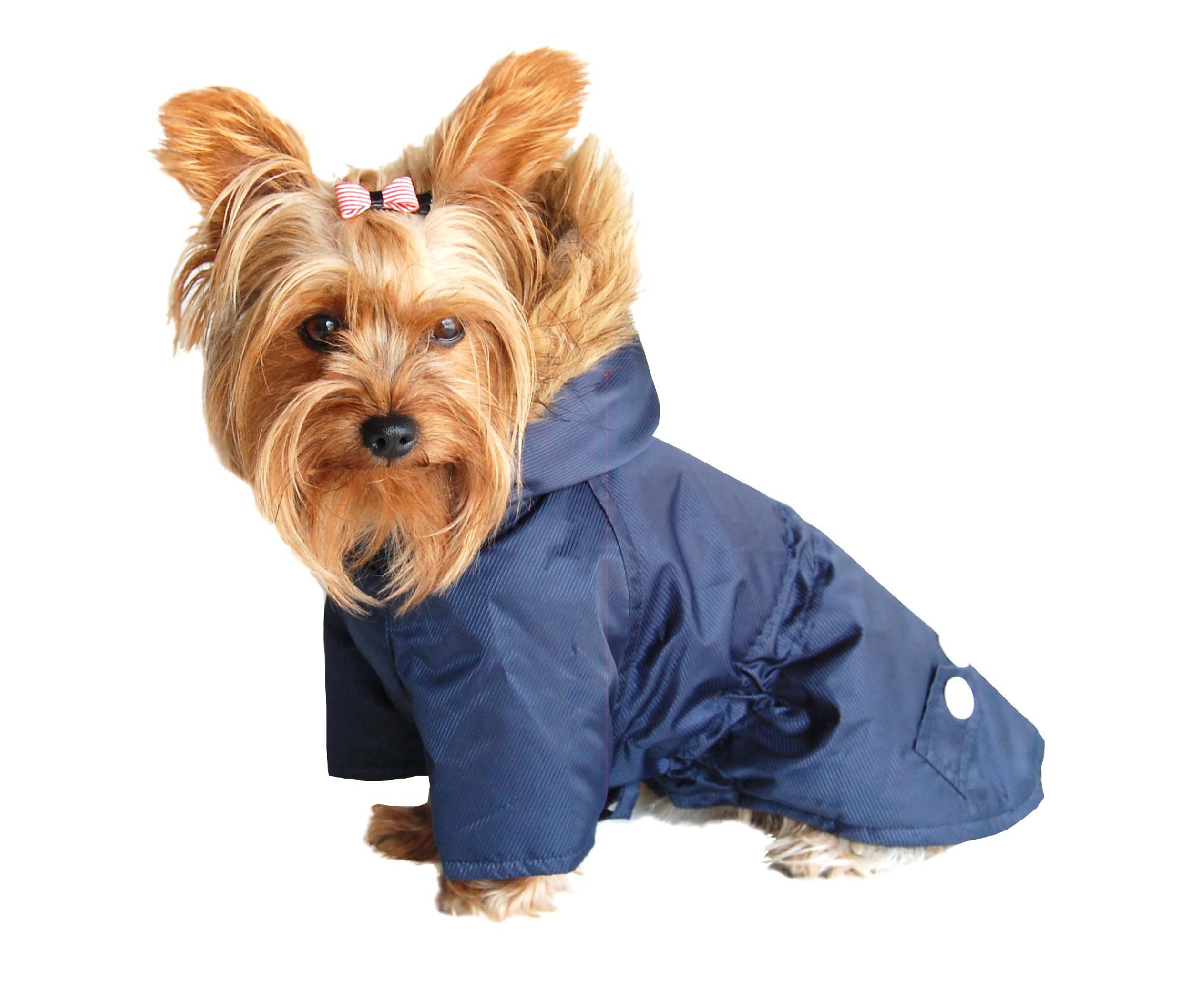 Detective Coat - Blue - Small