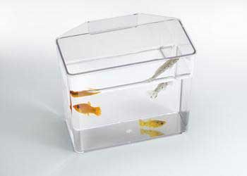 Lee's Aquarium & Pet Products Lee Container Specimen Heavy Duty-Store Use at Sears.com