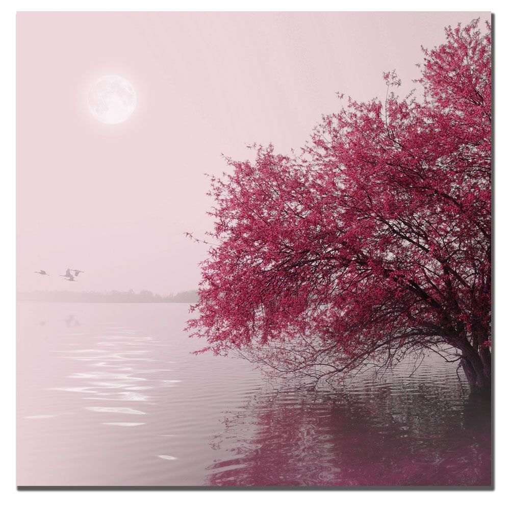Trademark Fine Art 24x24 inches "Full Moon on the Lake" Philippe Sainte-Laudy at Sears.com