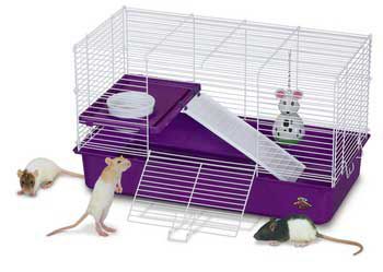 Pets International Ltd. Pts Cage My First Home for Pet Rat at Kmart.com