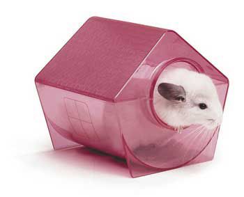 Pets International Ltd. Pts Bath House Chinchilla at Sears.com