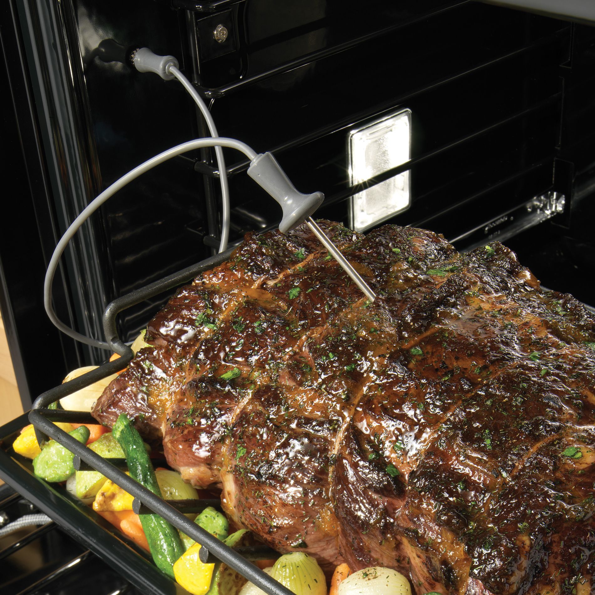  022_MeatProbe1900