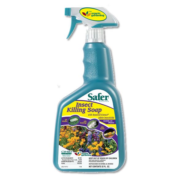 Safer Brand Insect Killing Soap - 32oz. RTU at Kmart.com