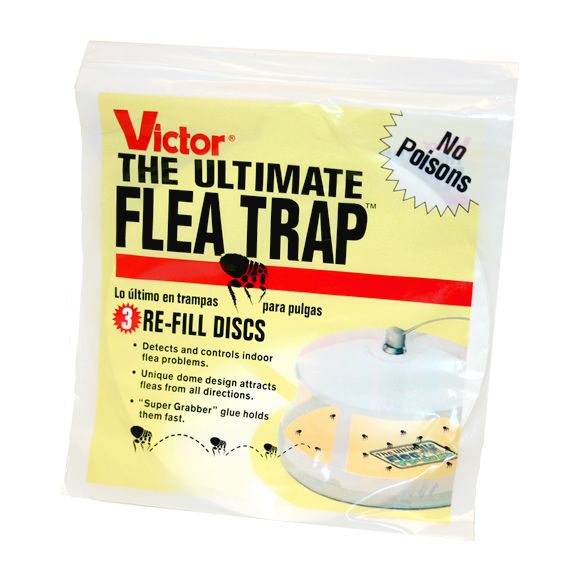 Victor The Ultimate Flea Trap Refills at Sears.com